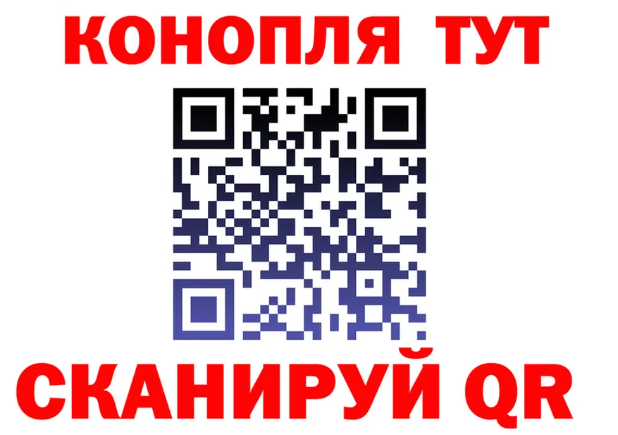 ГАШ Premium маркетплейс площадка МЕГА Хасавюрт